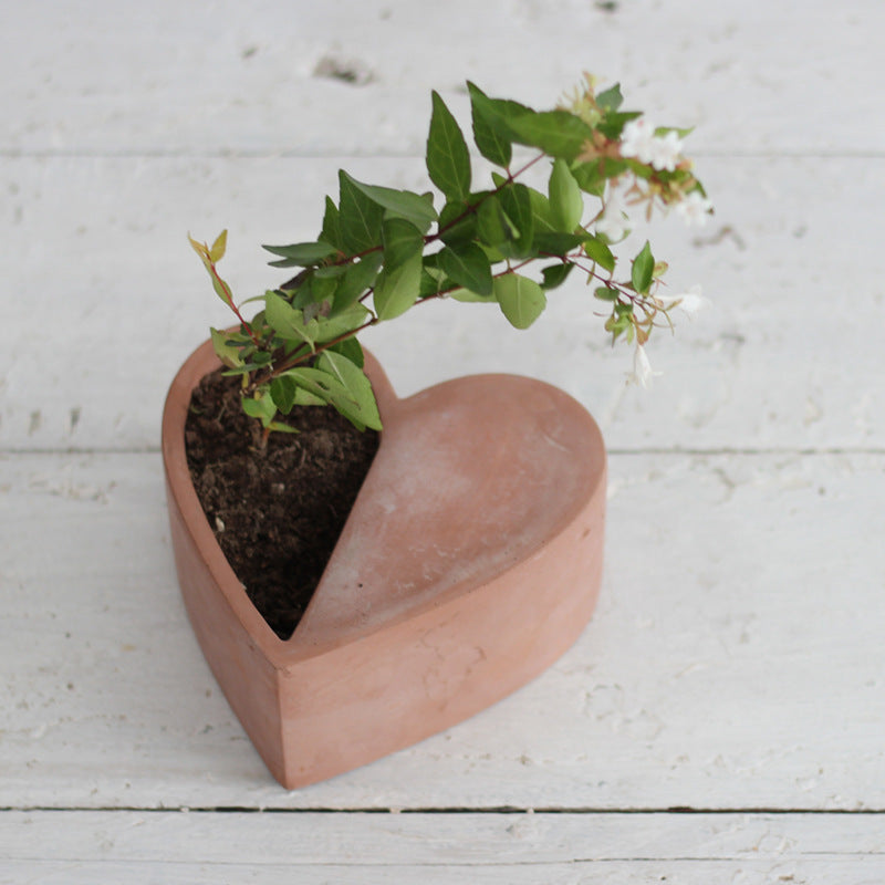 Pot culture of high-grade meat plants